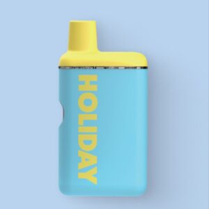 holiday airplane mode